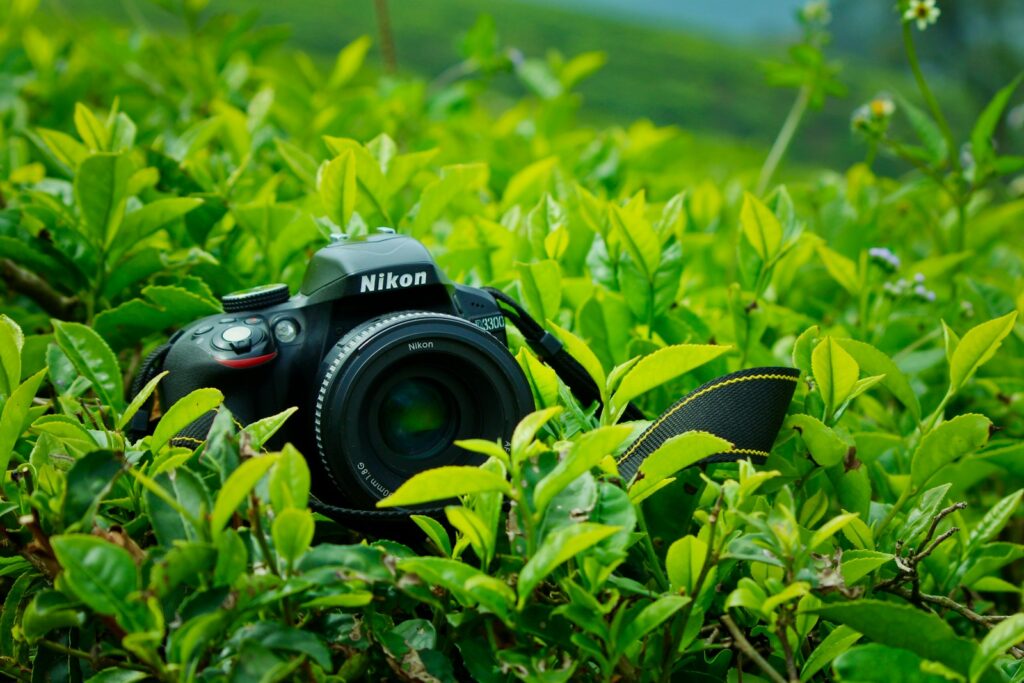black Nikon DSLR camera surrounded by green leaf plant